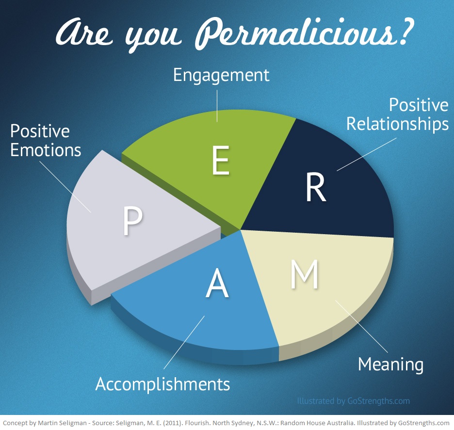 What is PERMA by Martin Seligman