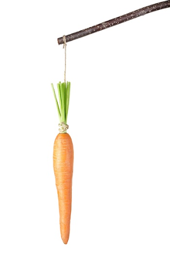 Carrot on a stick to motivate kids